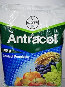 ANTRACOL 500GMS(PROPINEB 70%) CONTACT FUNGICIDE Bayer