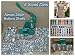 TCL INDIA 5 in 1 OLD IS GOLD BUTTON MAKER MACHINE WITH DAIE + BUTTON SHELLS part 2 ONLY ON AMAZON THIS DEAL AND PRODUCT IS ONLY HERE RS.4499.00