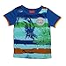 Lilliput Baby Boys T-Shirts (8907264060684_Blue_18-24 Months) RS.477.00