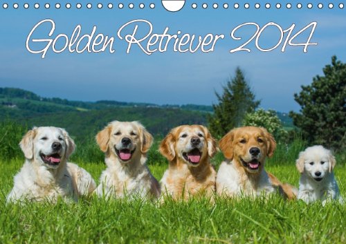 Download Golden Retriever 2014 (Wandkalender 2014 DIN A4 quer): Golden Retriever auf 13 wunderschönen Fotos durch alle Jahreszeiten (Monatskalender, 14 Seiten) Download Golden Retriever 2014 (Wandkalender 2014 DIN A4 quer): Golden Retriever auf 13 wunderschönen Fotos durch alle Jahreszeiten (Monatskalender, 14 Seiten)