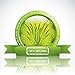 100% Natural Aloe Vera Gel 500 ml / 16.9 oz Face Moisturizer Hair Gel Body Hydration - After Sun Calming - After Waxing - Healing Eczema Sun Burn Razor Bumps - Prevents Stretch Marks - Anti Scars by bleumarine Bretania - made in France