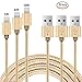 iPhone Lightning Kabel, Lively Life Lightning-auf-USB-A Ladekabel Datenkabel Nylon geflochten Golden für Apple iPhone 7 / 7 Plus / SE / 6S / 6S Plus / 6 / 6 Plus / 5S / 5C / 5 , iPad Air / Air 2, iPad mini / 2 / 3 / 4, iPad 4- [3Pack, 3FT 6FT 10FT]