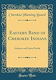  Eastern Band of Cherokee Indians: Industry and Labor Profile (Classic Reprint)