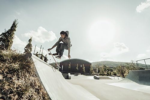 Hudora ABEC 1 Skateboard Eagle Instinct