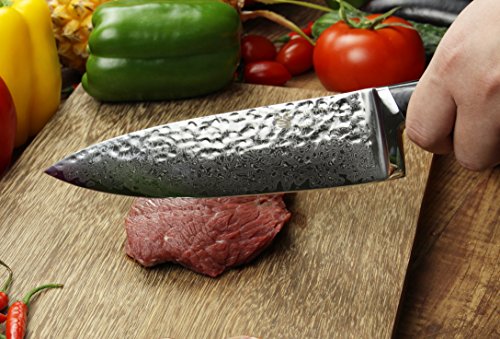 SWITYF VG-10 hochwertige japanische Stahl-Kochmesser das 205mm lang und mit hohen Kohlenstoffgehalt ist. Alveolen Damaskus Entwurf. DCK-HK - 7