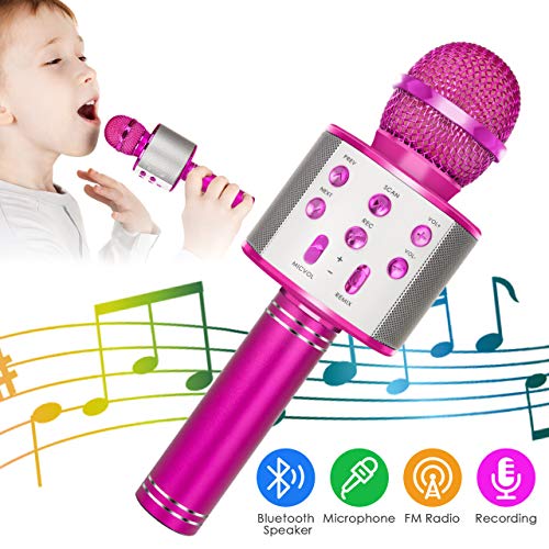 NEXGADGET Micrófono Inalámbrico Bluetooth Karaoke,5-en-1 Portátil Radio FM Karaoke Mic Altavoz Reproductor Grabador para Niños Adultos Cumpleaños Fiesta KTV Compatible con iPhone Android iPad