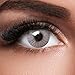 Produktbild GLAMVUE Sydney Grey + Behälter I Sehr stark deckende graue natürliche graue Kontaktlinsen farbig I 1 Paar (2 Stück) I DIA 14.00 I ohne Stärke