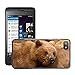 Price comparison product image Just Phone Cover Hot Style Cell Phone PC Hard Case Cover // M00140247 Kodiak Bear Bear Predator Animal // BlackBerry Z10