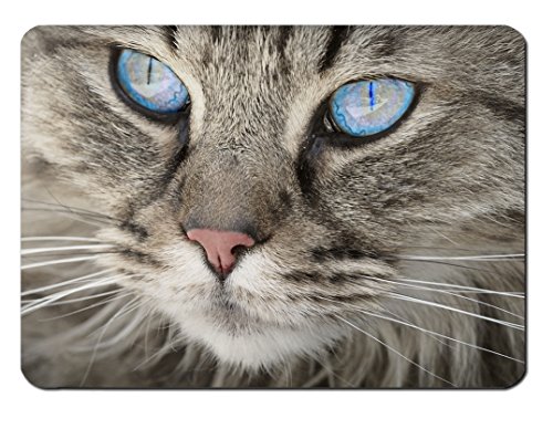 Preisvergleich Produktbild Mauspad Sweet Blueeyes Design