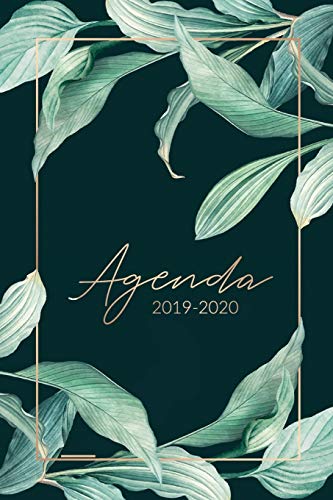 Télécharger Agenda 2019 2020: Agenda Semainier et Calendrier Octobre 2019 à Décembre 2020 - Agenda Journalier Livre PDF Gratuit