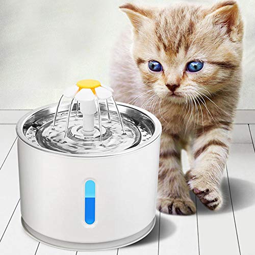 Détails Sur Aolvo Fontaine à Eau Pour Chat Et Chien Avec Filtre Et Led Lumineuse 5pcs
