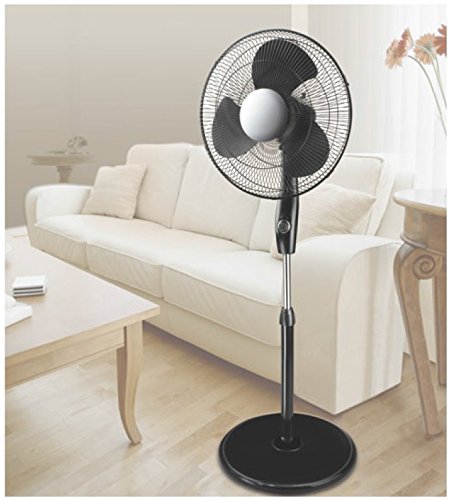 Honeywell HS-216E Oszillierender Standventilator in schwarz/silber - 2