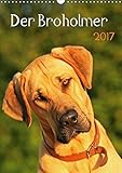 Der Broholmer (Wandkalender 2017 DIN A3 hoch): Kalender für Fans dieser beeindruckenden Hunderasse (Monatskalender, 14 Seiten ) (CALVENDO Tiere) by