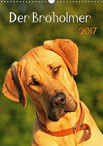 Der Broholmer (Wandkalender 2017 DIN A3 hoch): Kalender für Fans dieser beeindruckenden Hunderasse (Monatskalender, 14 Seiten ) (CALVENDO Tiere)