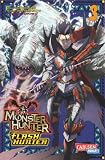 Image de Monster Hunter Flash Hunter 3