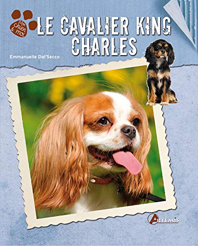 Télécharger Le cavalier king charles PDF Ebook En Ligne