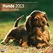 Hunde 2013 by