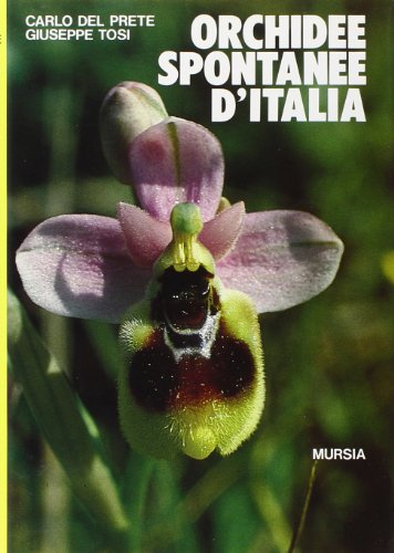 Orchidee spontanee d'Italia