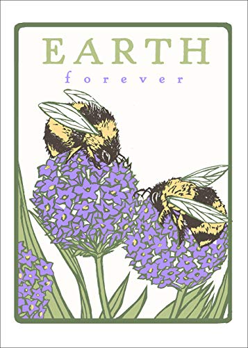 Preisvergleich Produktbild Bumblebees (Earth Forever)