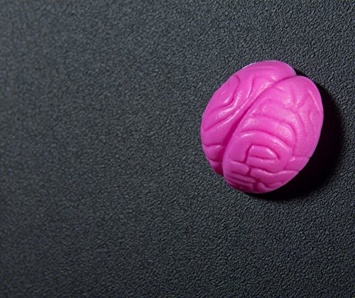 CRAZY BRAIN – Magnete / Magnet : Ideen finden mit Neodym-Magnet-Gehirn, für Tafel oder Kühlschrank! - 7