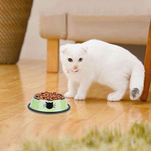 Legendog-Bol-Chats-3-Pcs-Bols-de-Chat-Imprim-Chat-en-Acier-Inoxydable-Antidrapant-Canin-Chat-Bol-de-Nourriture-pour-Chats-Chat
