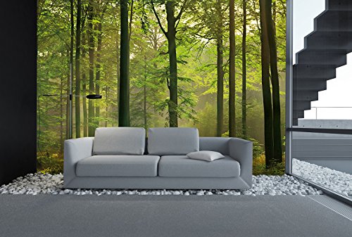 Idealdecor 216 Autumn Forest, 366 x 254 cm - 3