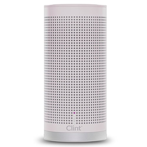 Preisvergleich Produktbild Clint FR14B-G Freya Bluetooth Lautsprecher, grau