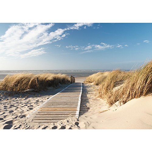 Fototapete Strand 352 x 250 cm – Vliestapete – Wandtapete – Vlies Phototapete – Wand – Wandbilder XXL – !!! 100% MADE IN GERMANY !!! Runa Tapete 9008011b - 6