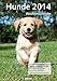 Wochenkalender Hunde 2014 by