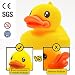 Mture Baby Bath Ducks - Rubber Duck Bath Toys No more Unhygienic Mouldy , Baby bath Toys Colourful Ducks Set for Babies Toddlers (Six Colours)
