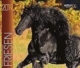 Friesen 2019: Prächtige Friesen by