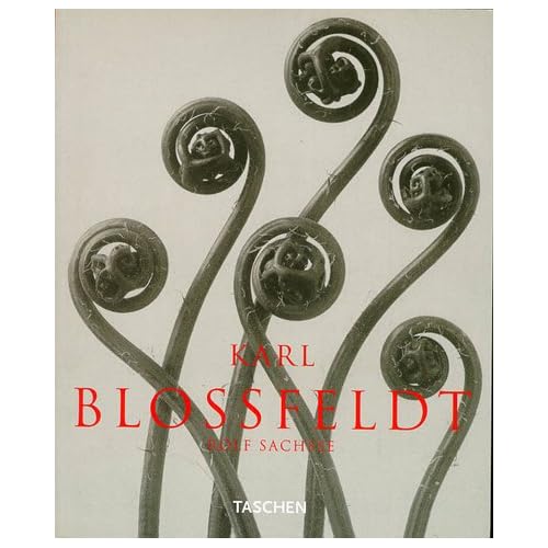 KARL BLOSSFELDT. Photographs 1865-1932, Edition anglaise, allemande et française KARL BLOSSFELDT. Photographs 1865-1932, Edition anglaise, allemande et française