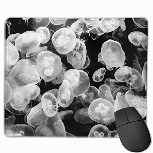 Preisvergleich Produktbild Dream Jellyfish Personalized Design Mauspad Gaming Mauspad with Stitched Edges Mousepads, Non-Slip Rubber Base, 300 x 250 x 3 mm Thick - Best Gift Idea