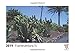 Produktbild Fuerteventura IV 2019 - Timokrates desk calendar, picture calendar, photo calendar - DIN A5 (21 x 15 cm)