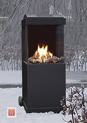 Preisvergleich Produktbild Faber The BUZZ Gaskamin