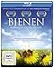 Bienen - Himmelsvolk in Gefahr
