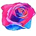 Produktbild Strandtuch YEARNLY, 147cm Gesäumt Strandtuch,Runde Rose Strandtücher/Wandteppich/Wickelrock/Yoga-Matte/Indischen Handtuch,Für Outdoor-Aktivität Und Innen-Dekoration Bunt