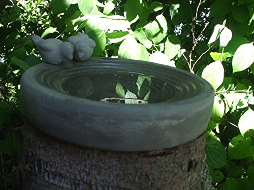 Dekoratives Vogelbad, Vogeltränke, Wasserstelle, Beton, 30 cm - 3