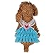 Produktbild EUZeo Pet Kleidung Haustier Hund Katze Lovely Retro Partykleider Blase Rock Spitzenkleid Hundekleid Prinzessin Kleider für Hund Hundeshirts Hundebekleidung Bekleidung
