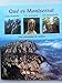 Qué es Montserrat? Una montaña. Un santuario. Un monasterio. Una comunidad de espiritu. - Maur M. Boix