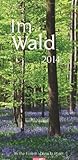 Im Wald 2014 by 