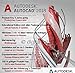 Produktbild Autodesk AutoCAD 2018 | Digitale Lizenz / 3 Jahre | Windows | Expressversand 24h