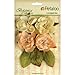 Produktbild Petaloo Papier Botanica Blooms 2.25-inch-peach