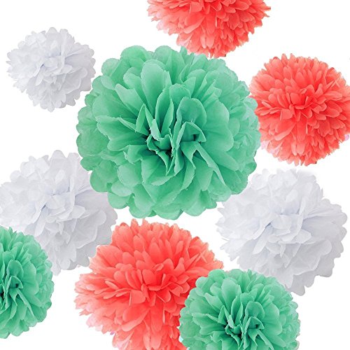 SUNBEAUTY 9pcs Mixed Sizes 6'' 8'' 10'' Mint Green White Coral Tissue
Paper Pom Poms Flowers Ball Baby Shower Wedding Party Outdoor Decoration