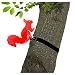 Produktbild elliot 1019983 Elliot Lichtzauber 1019983 Eichhörnchen 30 cm, rot
