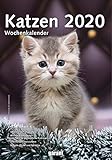 Wochenkalender Katzen 2020 by 