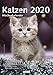 Wochenkalender Katzen 2020 by 