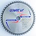 Price comparison product image WELLCUT Saw Blade 165mm, Bore 20mm, 48 Teeth, 1.6mm Kerf for Festool Bosch Makita DeWalt etc. Industrial Quality Tungsten Carbide Tipped (TCT)
