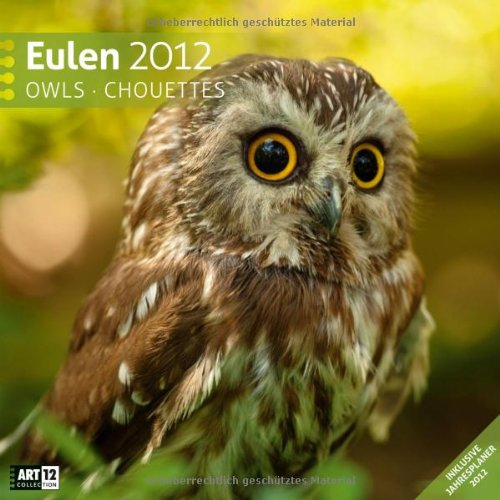 Eulen 2012 Art12 Collection: Broschürenkalender