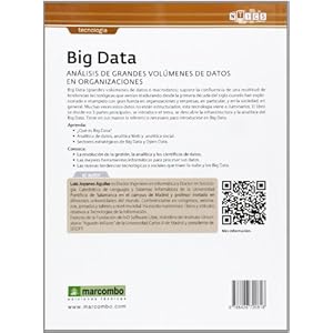 BIG DATA: ANALISIS DE GRANDES VOLUMENES DE DATOS EN ORGANIZACIONES